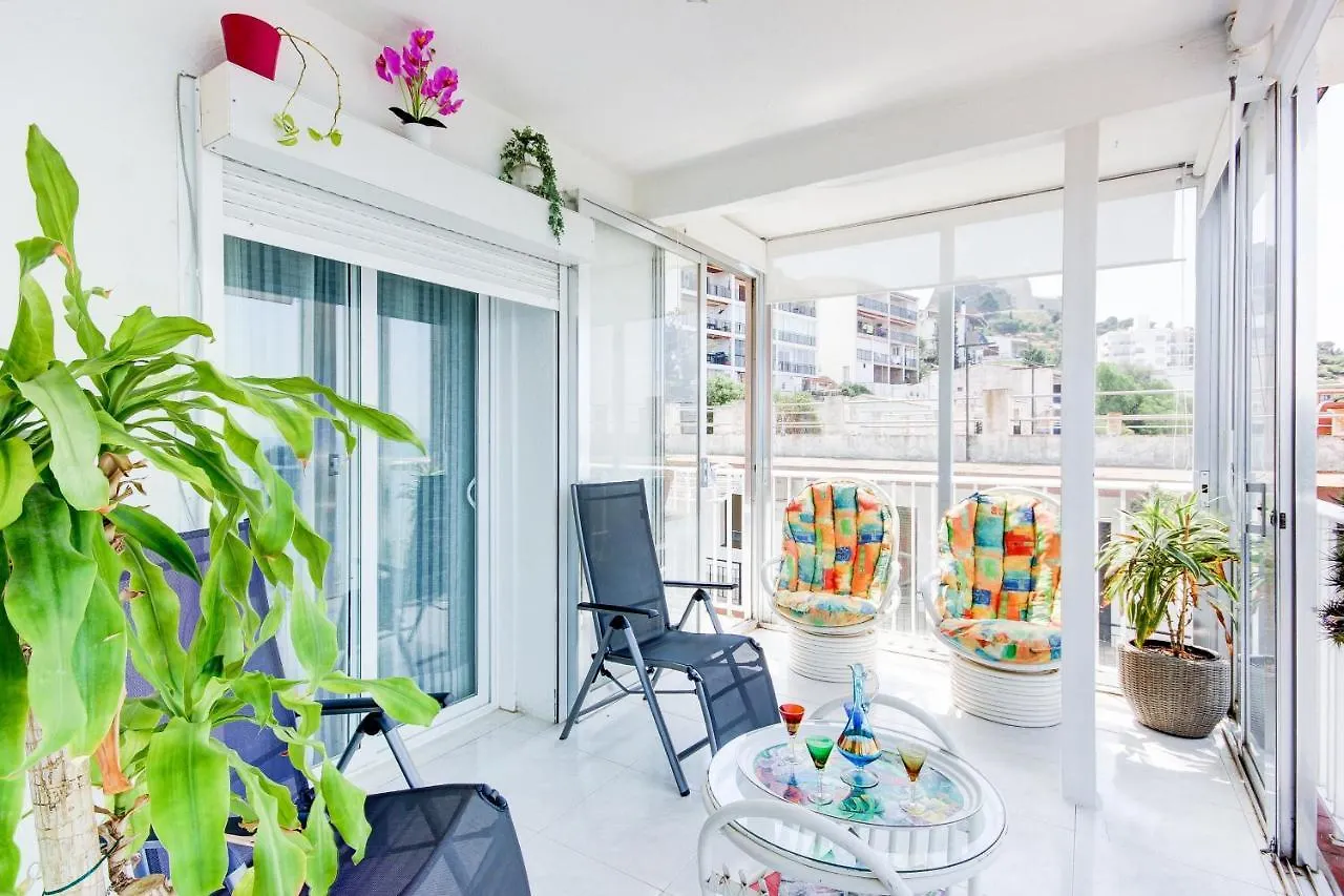 Апартаменты Santa Monica 3 Roses - Immo Barneda
